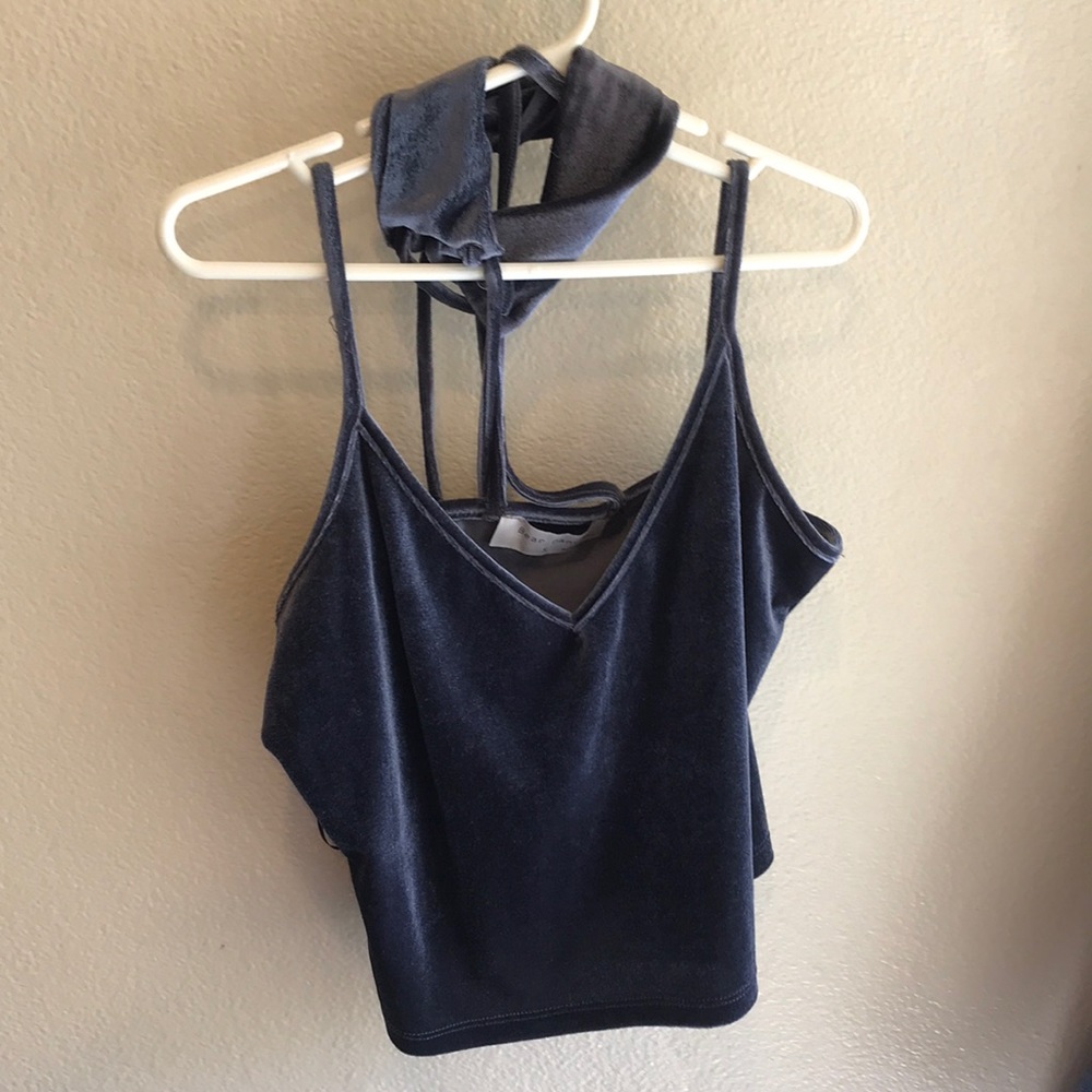 Grey velvet crop top ( with choker)